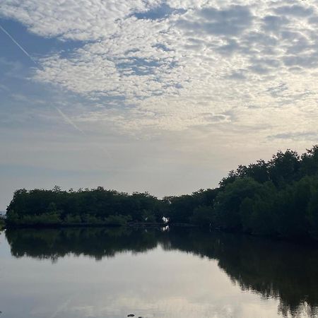 Mangrove Inn Karimunjawa Eksteriør billede