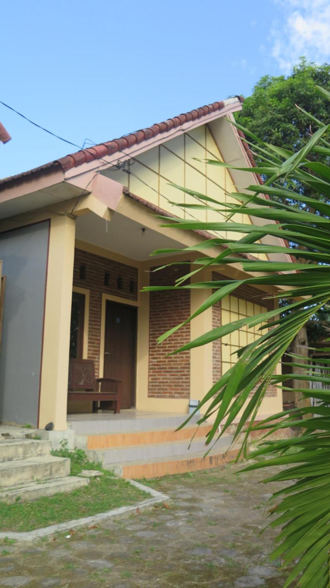 Mangrove Inn Karimunjawa Eksteriør billede