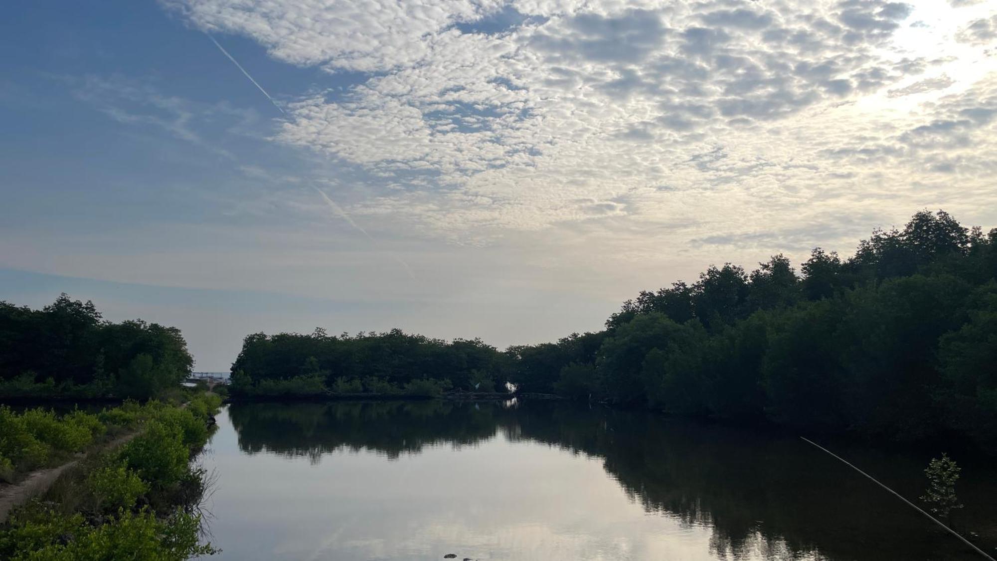 Mangrove Inn Karimunjawa Eksteriør billede