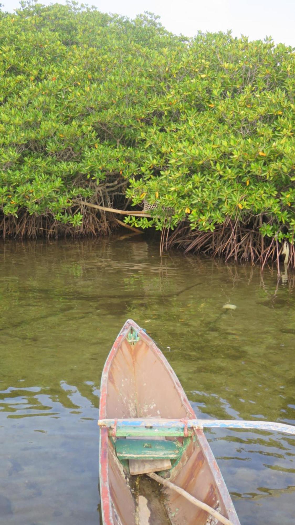 Mangrove Inn Karimunjawa Eksteriør billede