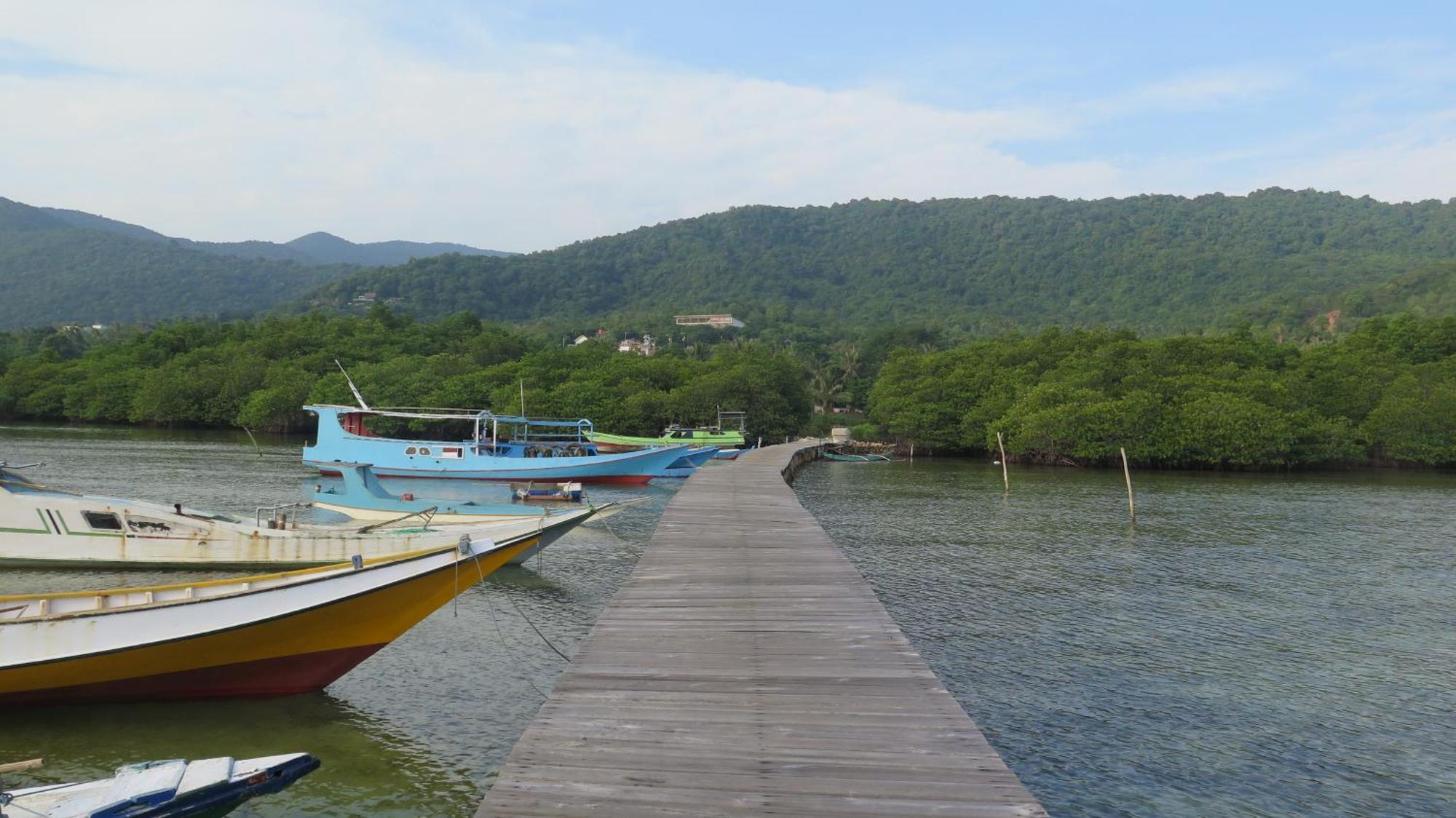Mangrove Inn Karimunjawa Eksteriør billede