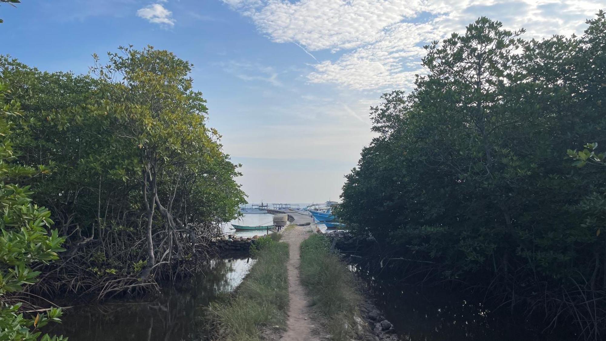Mangrove Inn Karimunjawa Eksteriør billede