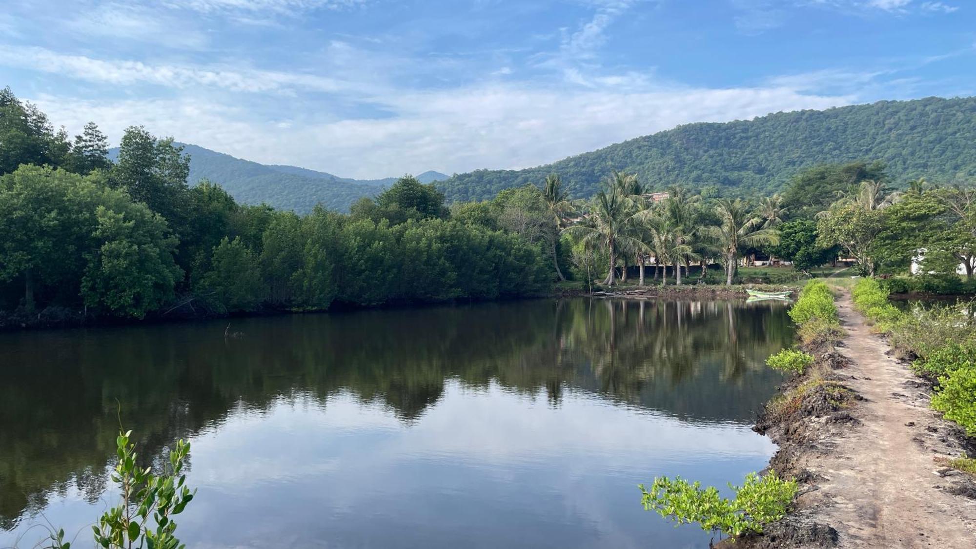 Mangrove Inn Karimunjawa Eksteriør billede