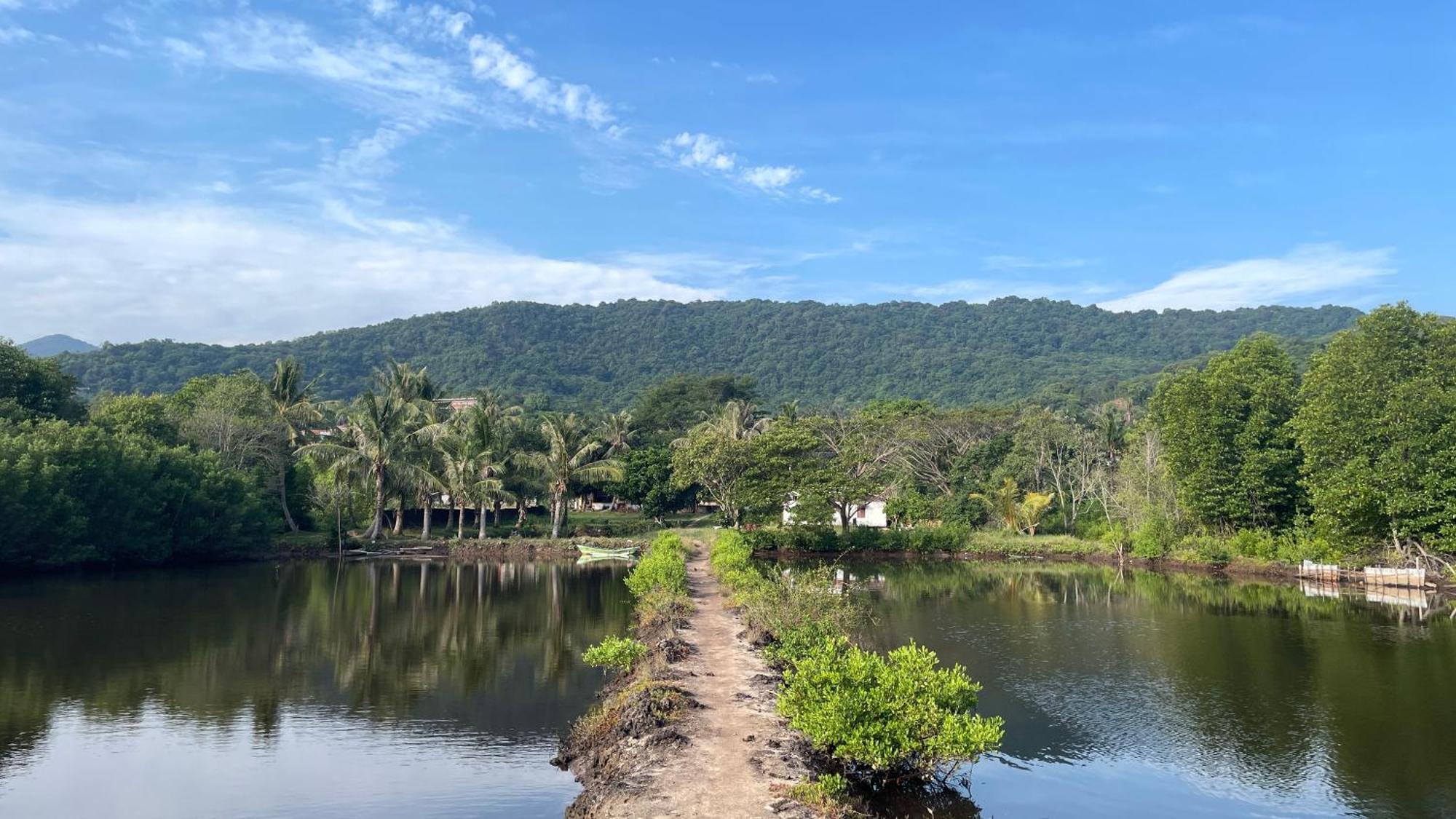 Mangrove Inn Karimunjawa Eksteriør billede