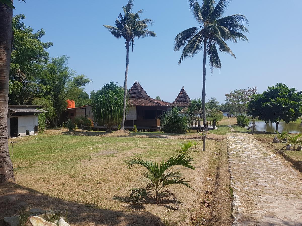 Mangrove Inn Karimunjawa Eksteriør billede