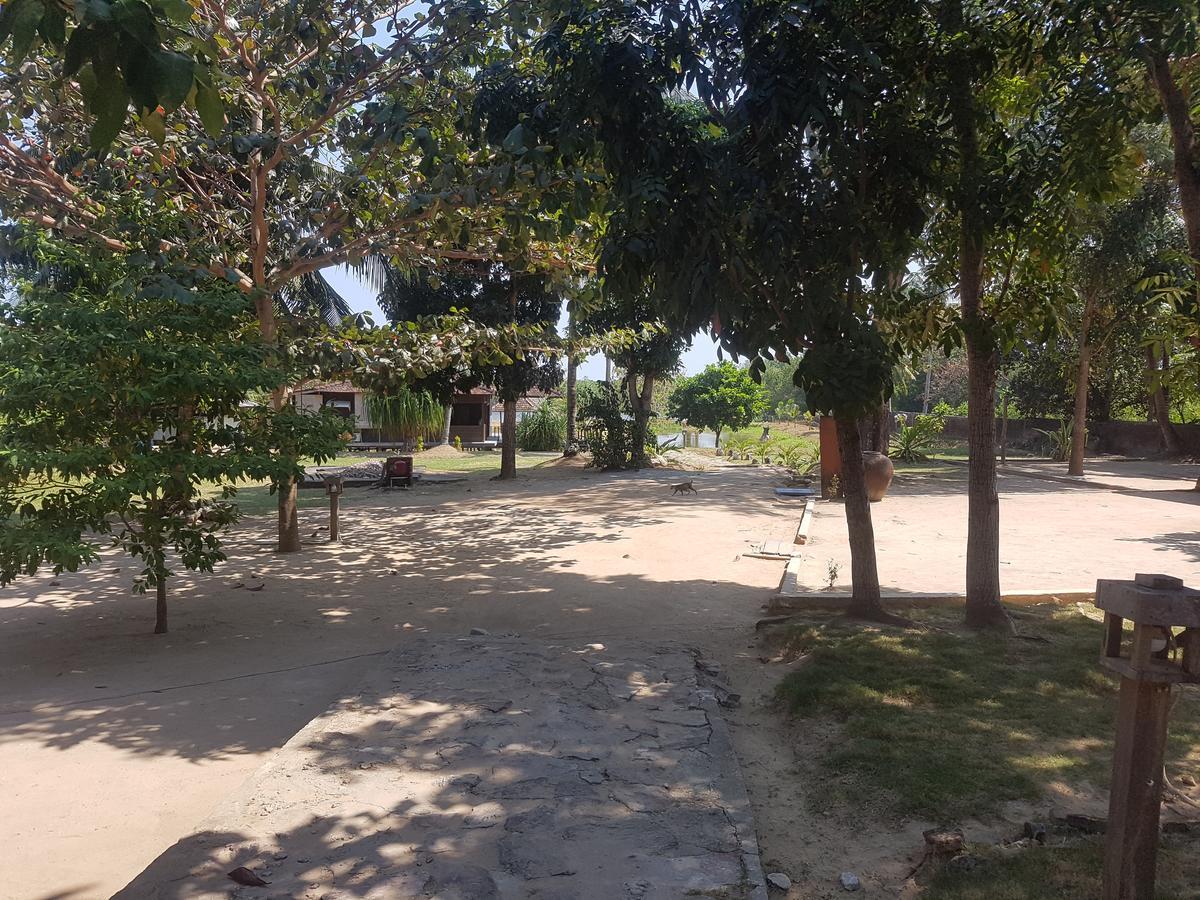 Mangrove Inn Karimunjawa Eksteriør billede