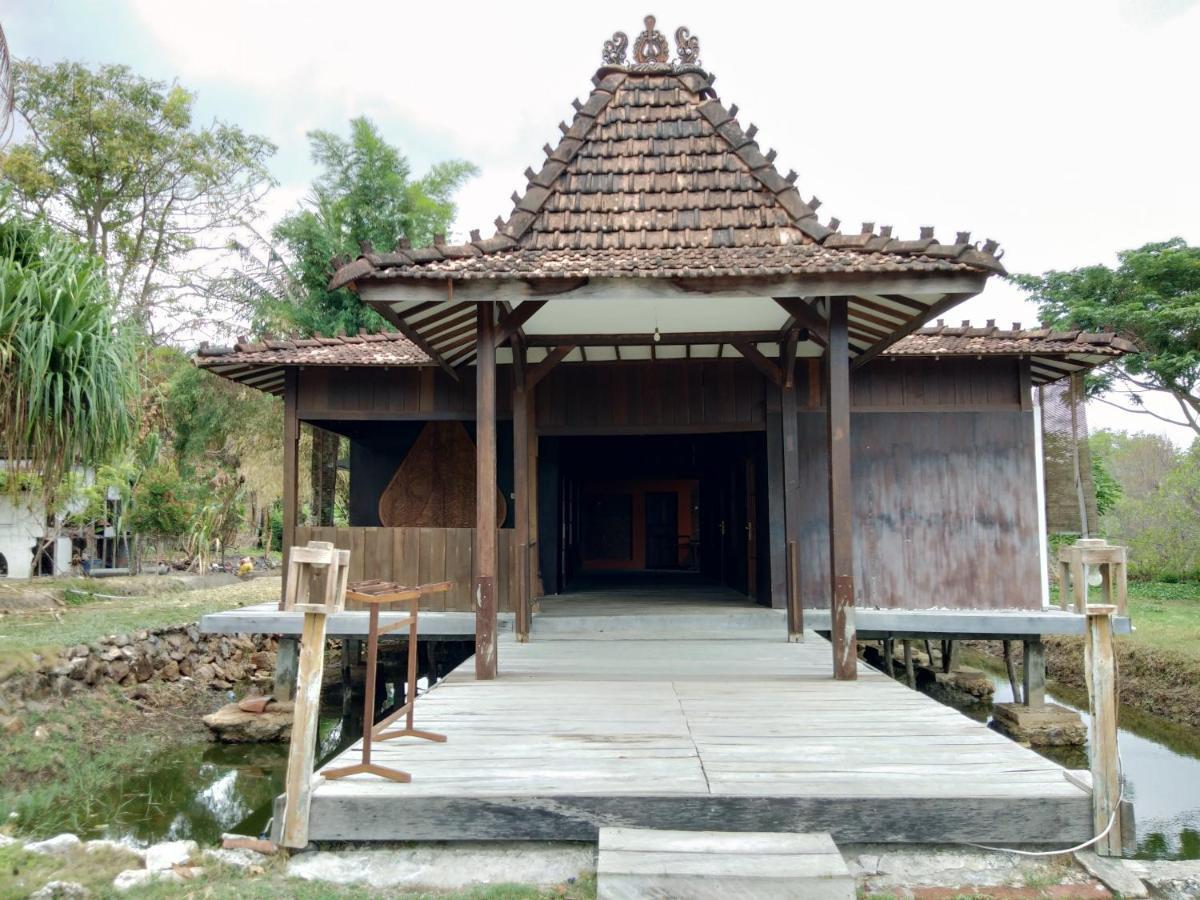 Mangrove Inn Karimunjawa Eksteriør billede
