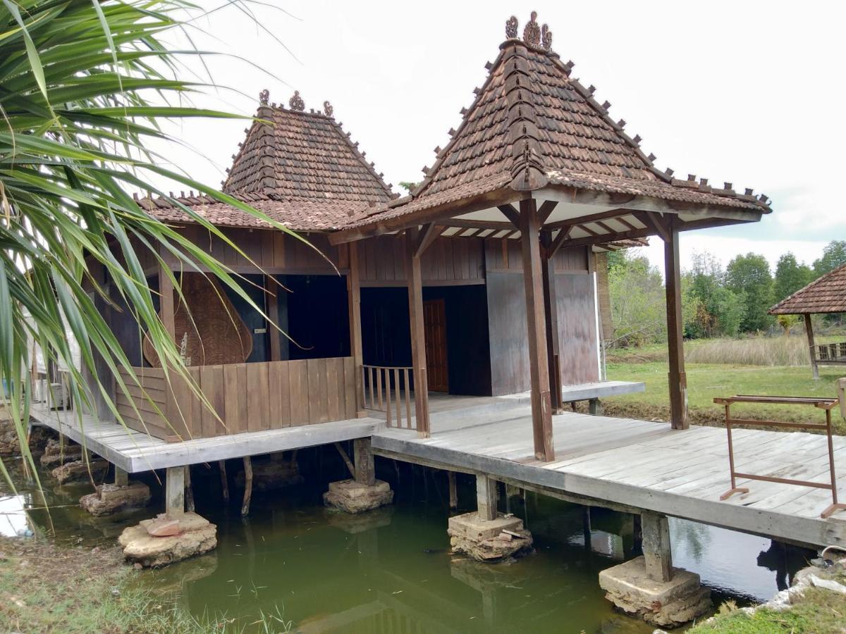 Mangrove Inn Karimunjawa Eksteriør billede
